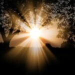 sunlight, nature, outdoors, sunbeam, landscape, trees, scenery, illuminated, sunlight, sunlight, sunlight, sunlight, sunlight, scenery